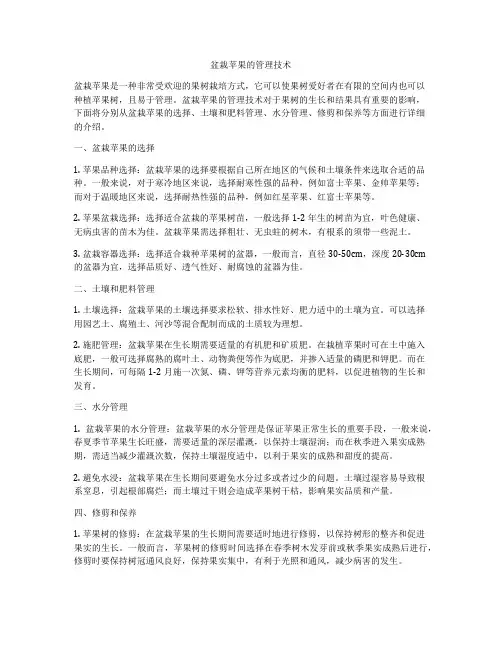 盆栽苹果的管理技术