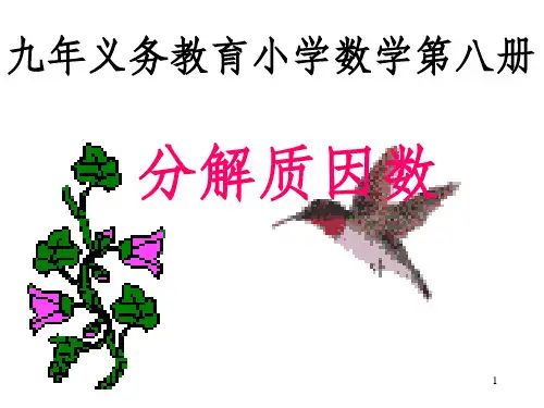 《分解质因数》PPT课件