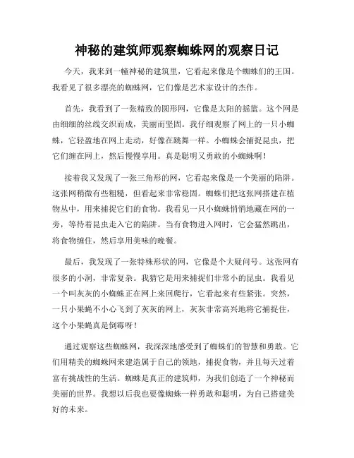 小学三年级作文神秘的建筑师观察蜘蛛网的观察日记