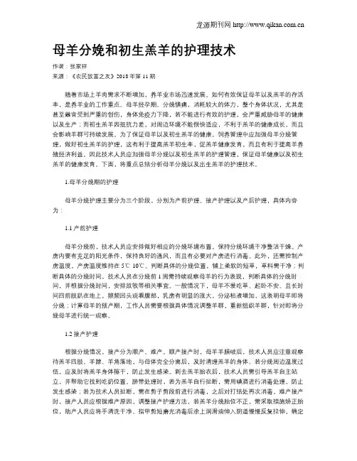 母羊分娩和初生羔羊的护理技术