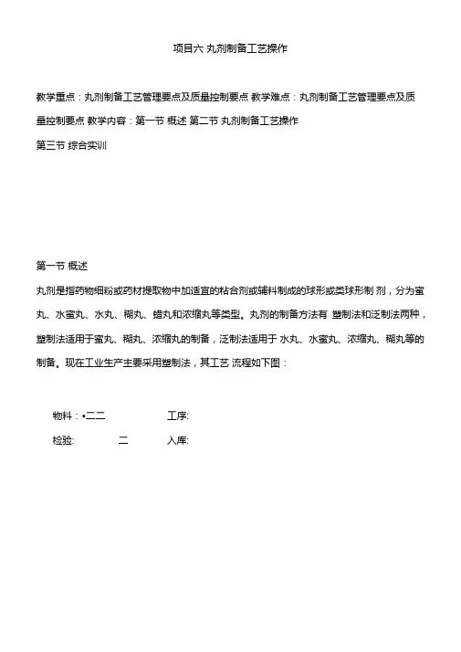项目六丸剂制备工艺操作