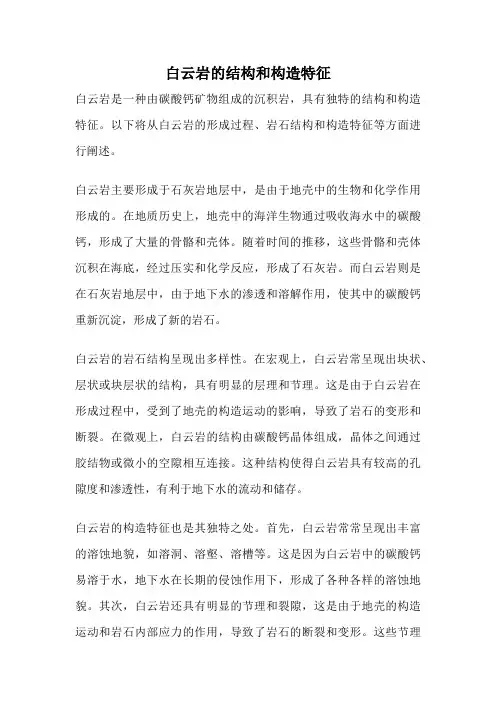 白云岩的结构和构造特征