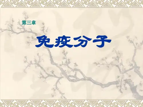 主要抗感染抗体中和抗原