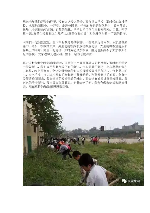 八十年代的回忆附图
