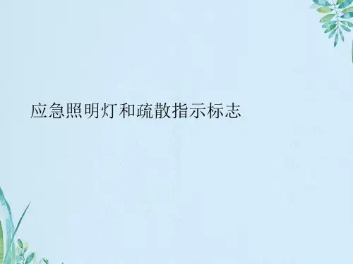 应急照明灯和疏散指示标志