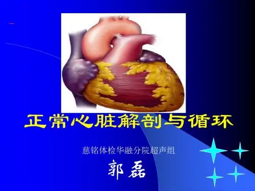 心脏超声心动图第一行动ppt课件