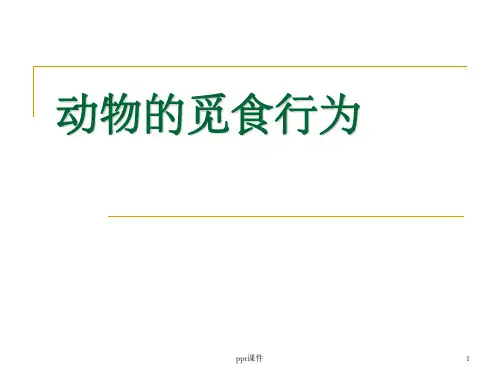《动物的觅食行为》PPT课件