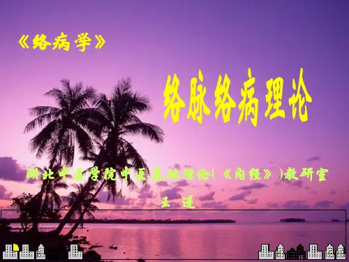 络病辨证概论 ppt课件