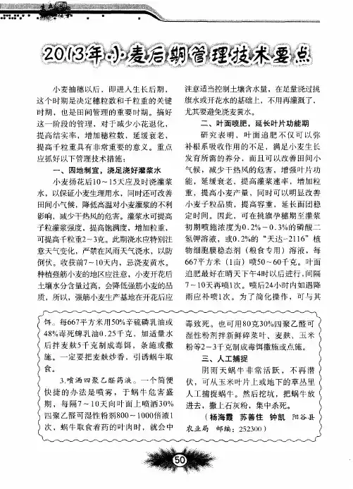 2013年小麦后期管理技术要点