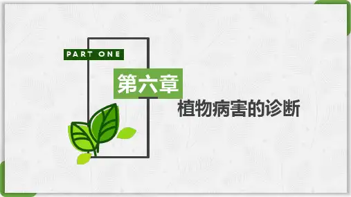 普通植物病理学32