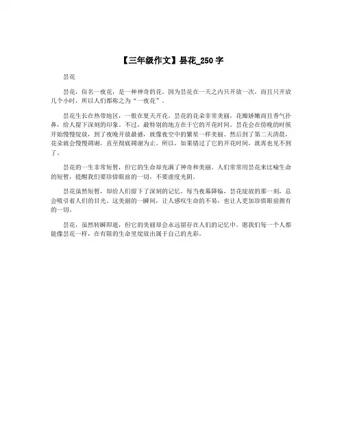 【三年级作文】昙花_250字