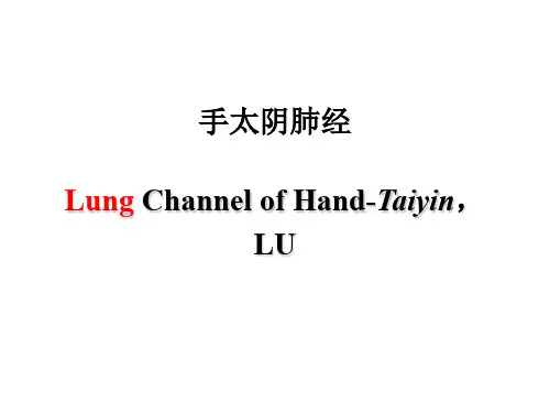 手太阴肺经