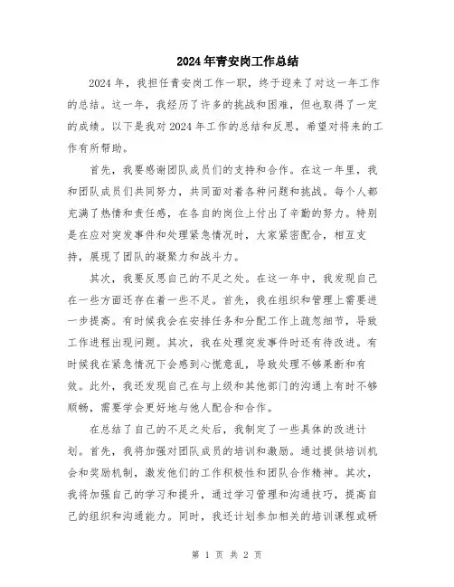 2024年青安岗工作总结