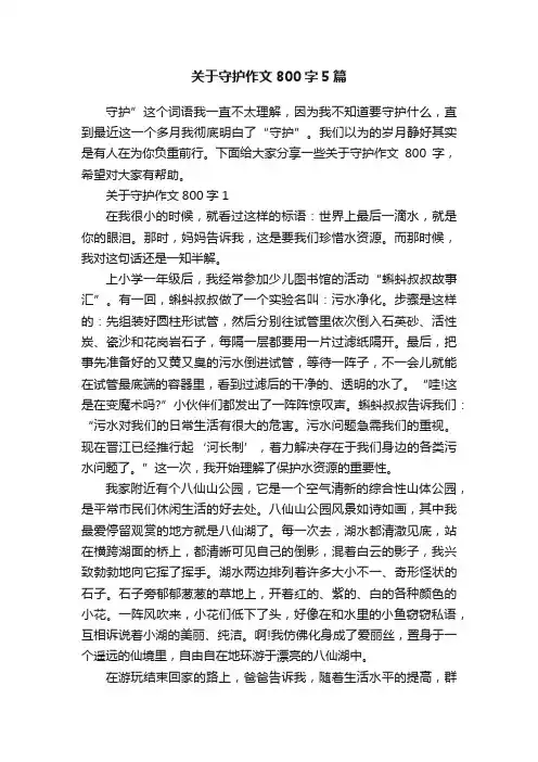 关于守护作文800字5篇