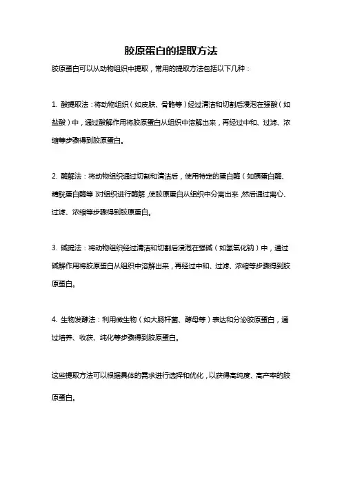 胶原蛋白的提取方法