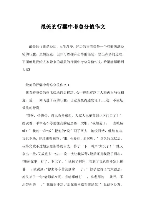 (中考作文)最美的行囊中考满分作文