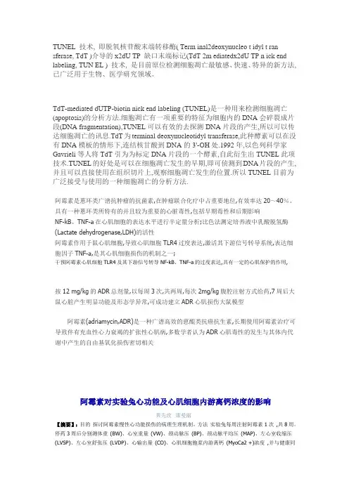 TUNEL 技术