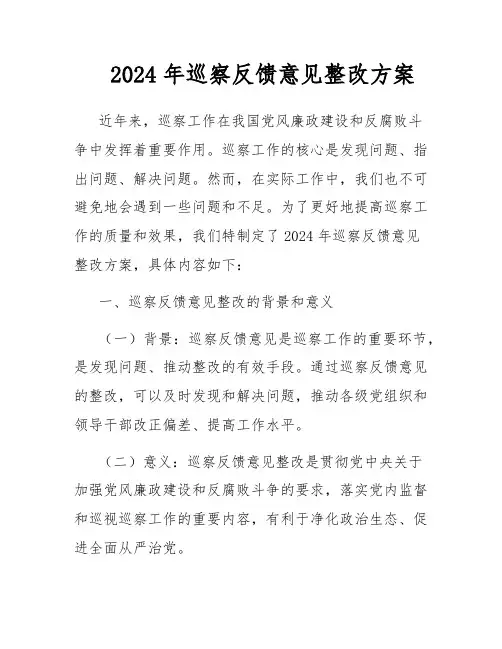 2024年巡察反馈意见整改方案