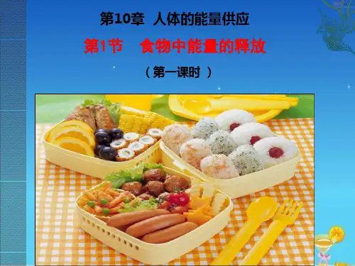 北师大版生物七年级下册10章1节食物中能量的释放一课时精品课件