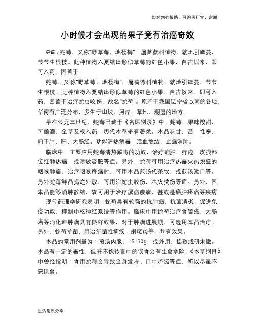小时候才会出现的果子竟有治癌奇效