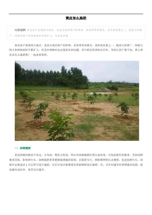 黄皮怎么施肥
