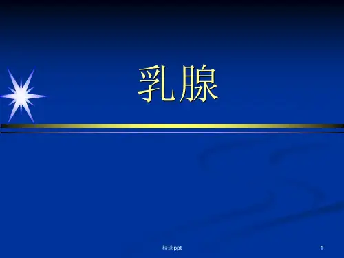 乳腺ppt课件