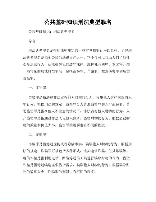 公共基础知识刑法典型罪名