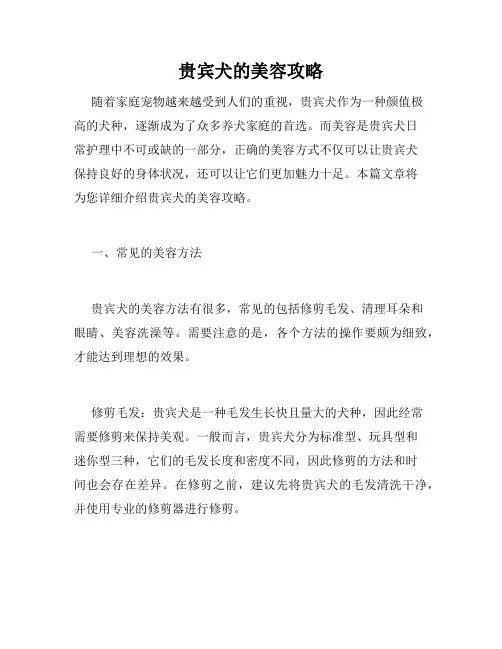 贵宾犬的美容攻略 
