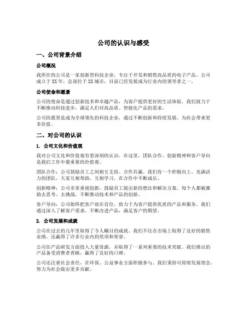 对公司的认识与感受