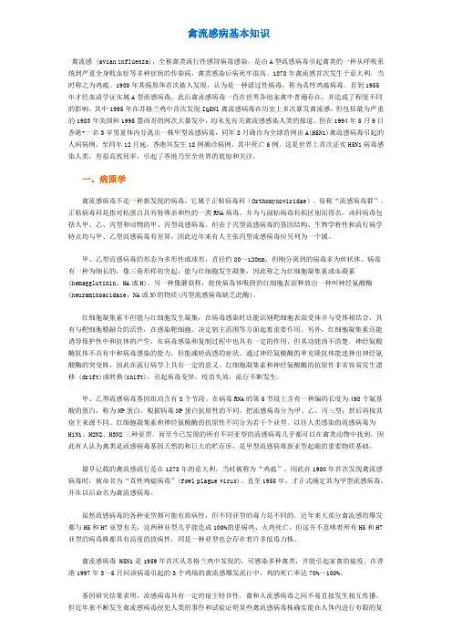 禽流感病基本知识