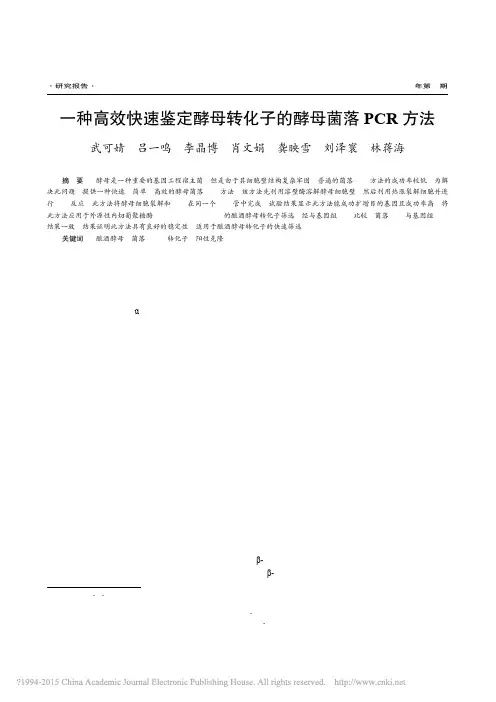 一种高效快速鉴定酵母转化子的酵母菌落PCR方法