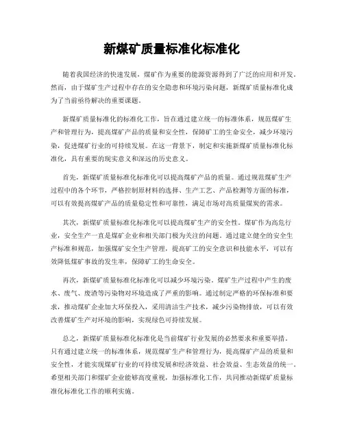 新煤矿质量标准化标准化