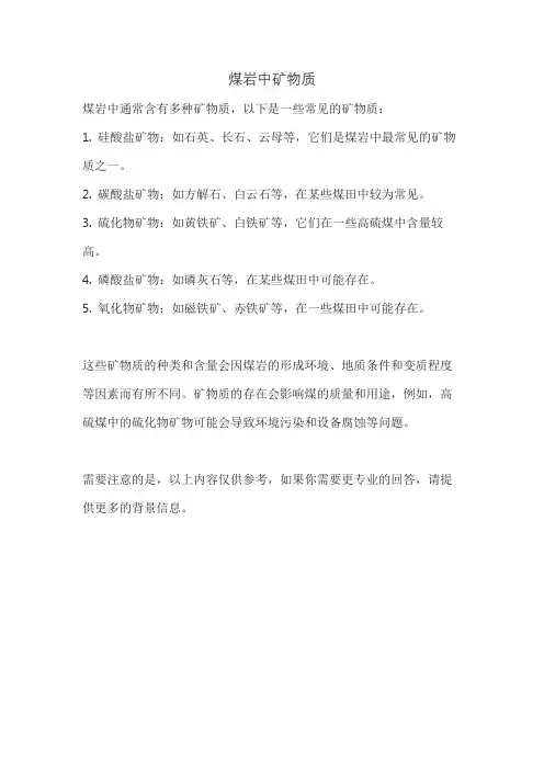 煤岩中矿物质