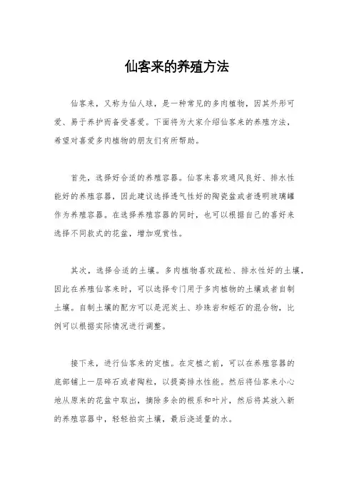 仙客来的养殖方法