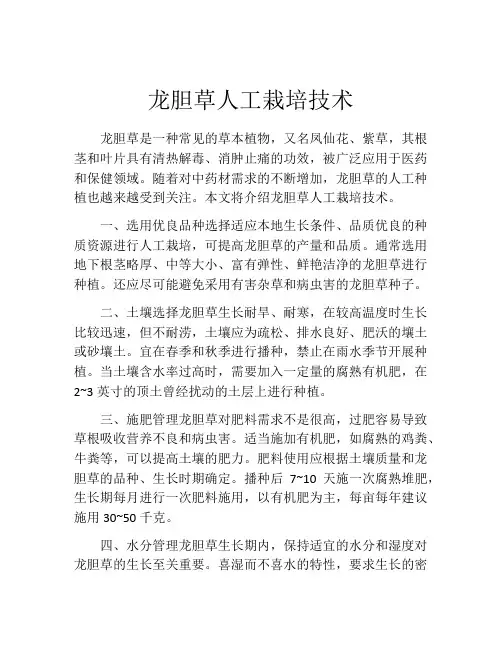龙胆草人工栽培技术