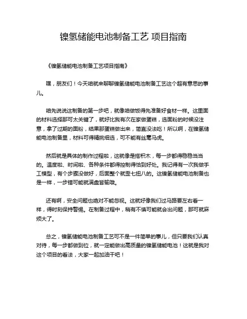 镍氢储能电池制备工艺 项目指南