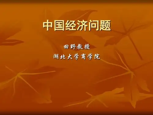 最新2019-中国经济问题-PPT课件
