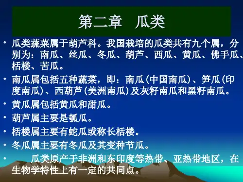 瓜类