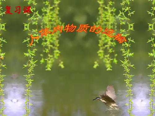 人体内物质的运输复习课-(共34张)PPT课件