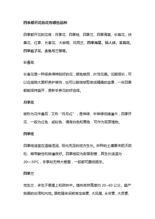 四季都开花的花有哪些品种