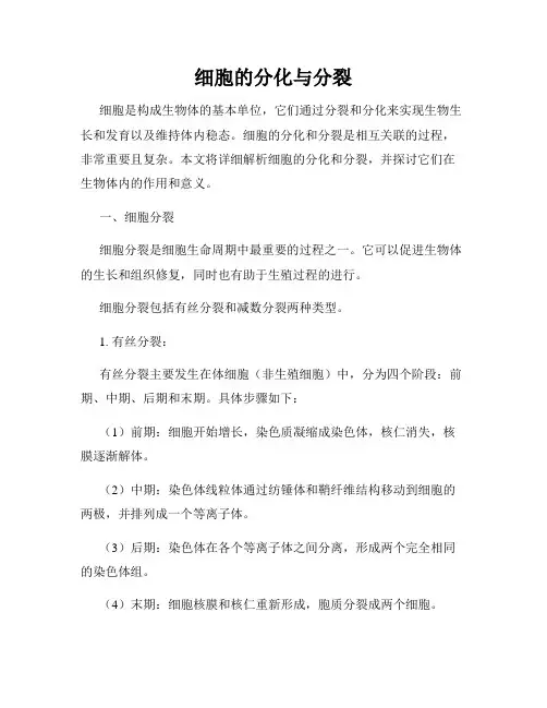 细胞的分化与分裂