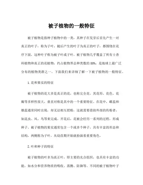 被子植物的一般特征