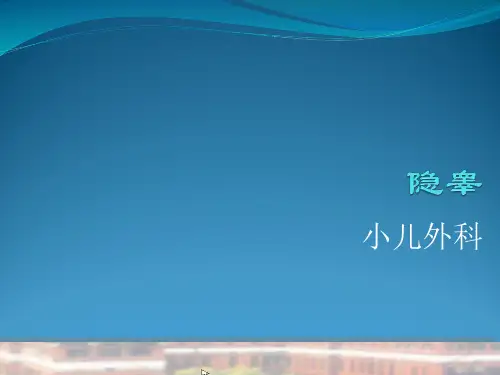 隐睾PPT课件