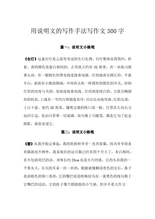 用说明文的写作手法写作文300字