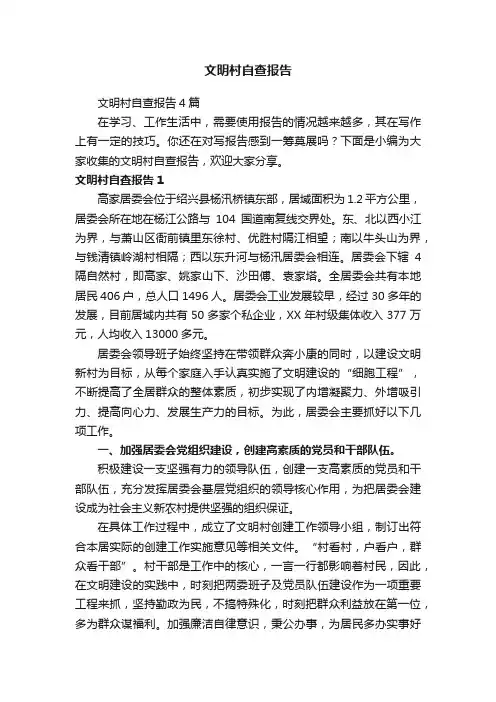 文明村自查报告