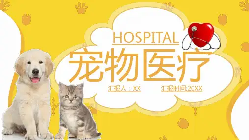 简约商务可爱萌宠医疗宠物护理宣传PPT模板