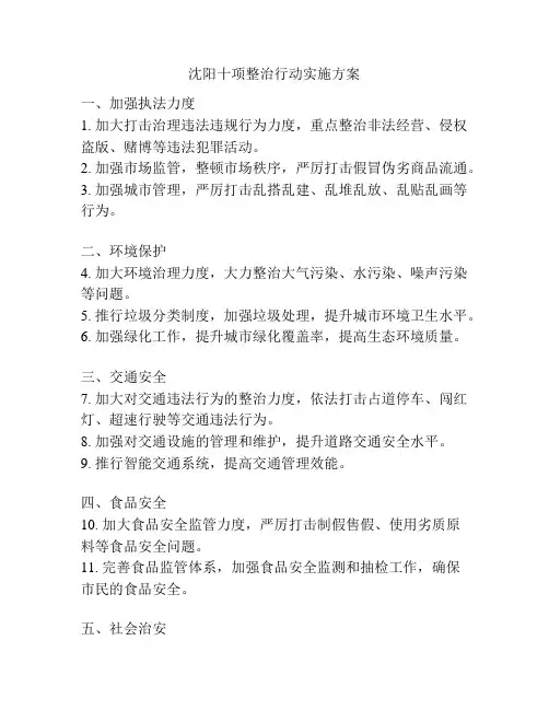 沈阳十项整治行动实施方案
