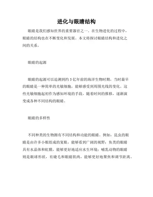 进化与眼睛结构