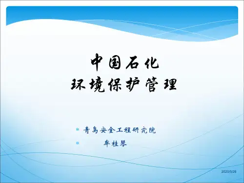 中石化环保管理(201210.31)