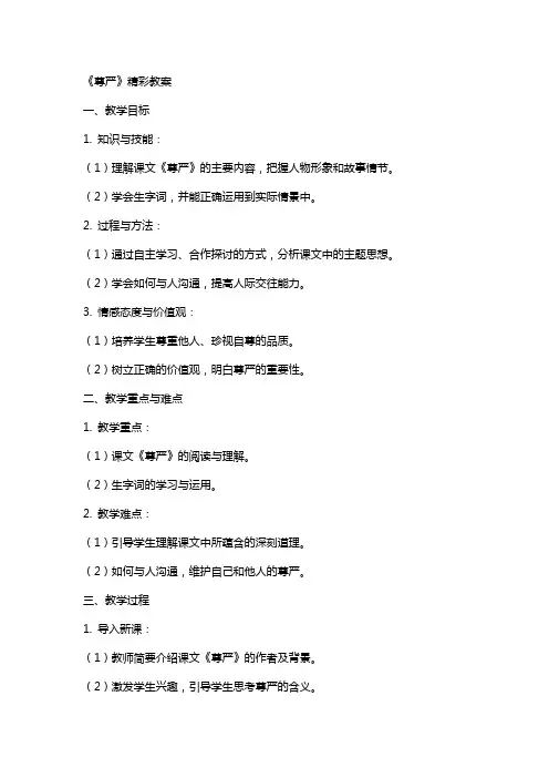 《尊严》精彩教案